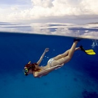 ʮ����ȼ֬���˶��Թ�������