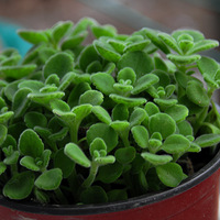 ɫ.ɫ.ɫ.������