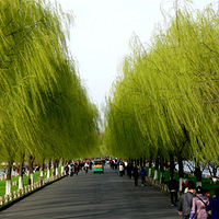 �����ߵ�������ѿ��