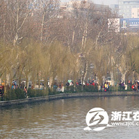 ����ɹ������