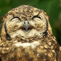 ���Ȳ������֣��ɰ�����΢Цʱ��