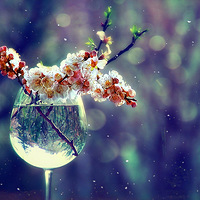 ����ֻ��һյ��������һ֧��