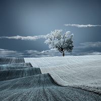 24����Ӱʦ����˼���룺��ɫ������