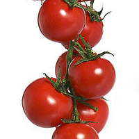 ŮԳԷѿɷٰ