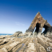 �󺣴��������������ܡ�����ʴ��