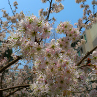 ��Υ�ˣ����ĵĴ���~ ɽˮ����塪��Ϫ�̵�