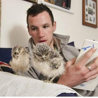 �������Сèͷӥ