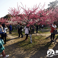 ������������ο���֯ �����컹�������ʺ����