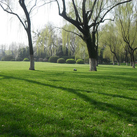 ��������̫���������