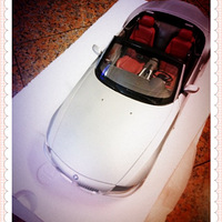 �����ҵĳ�ģ