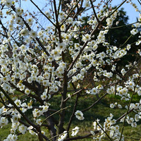 ���չ䳬ɽ����Ʊ·��Ŷ