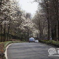 �������������� ��������ʢ����