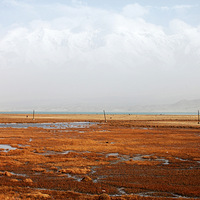 ���׶���ԭ�ϵ�ʪ��