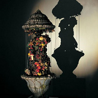 ��������Ĳ�Ѱ����ƤӰ����