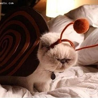 ���ԡ����ˡ�����󵨡�����ѽ~~~