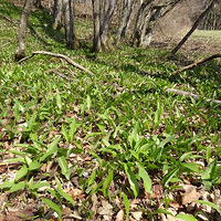 ҵİٲ԰磬泯󺣣ů