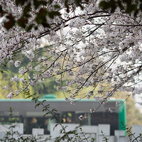 �� �� �� ɫ �� ��