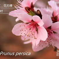 ��ʲô�������㣬ӣ÷������