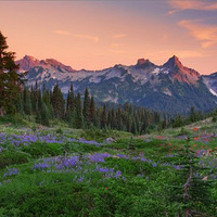 ����Ȼ���ɾ�