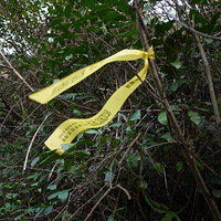 Ư���Ļ�˿��