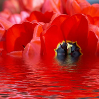 ����ʱ�����ͷס�