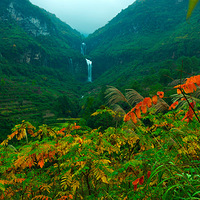 ��һ�ι㰲����ȣ�̫Ư���ˣ����֡��ա��� 