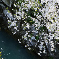 ������Ϣ�����۲�������ϲ����ͷ�Ѿ�ǧɽ��