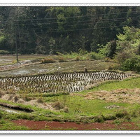 2012.4 ����������ˮ�з羰