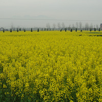 �������������Ͳ˻�