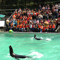 �������ĺó���