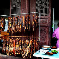 ���������׳�ù ��δ���