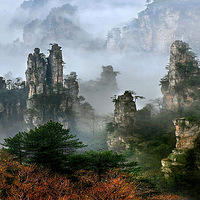 �����żҽ��ƺ��������续