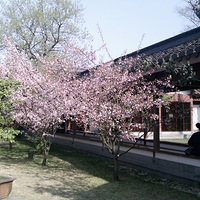 �������ģ���M&J���ݻ�����