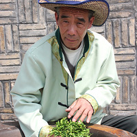 2012��������������������¯