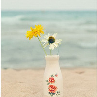 �� Ψ�� ����İ�