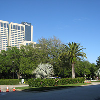 ��Ů���μӹ����������