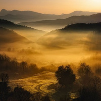 Mary Kay�ķ����Ӱ����