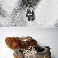 ��Ȥ�Ķ����㼣Ь��