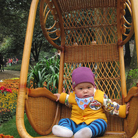 ���л���֮˳��ƪ