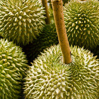 ��ÿ�ս������ѡ�����ޱȡ�Ů�����˳Ե�5�֡������ʳ�� 