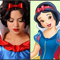 �����ʦ�����˰��˹�ṫ�� �������