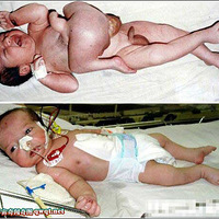 ��������ļ���̥ͼ��