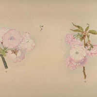 ����ѧ �� ����10�꣨1921��ӣ���� ����ժѡ