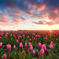 �����Ļ�����Ӱ��Ʒ