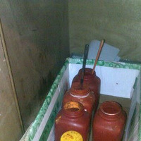 ����������Է�����������һ����һλ�����ĳ�ʦ�����ͼƬ