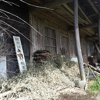 �����ɾӡ������ۣ��˼�����