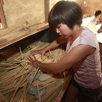 �����ж�һ���Կ������������ع�