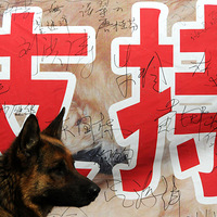 ���ؽ�������