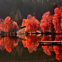 ����֮�Σ�������ľ��Ӱ��Ƭ