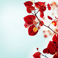 ���ϴ��Ȧ���λð����Ƭ